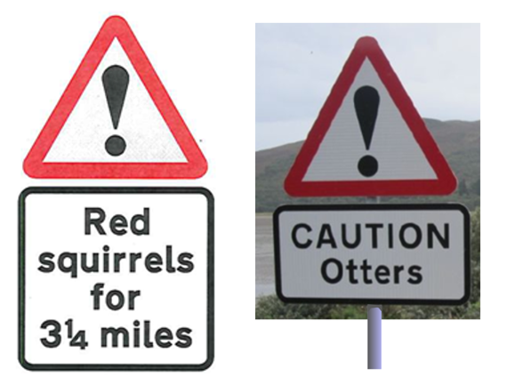 Examples of red triangle warning signs with exclamation mark and text saying "Red squirrels for 3 1/4 miles" and "Caution Otters"