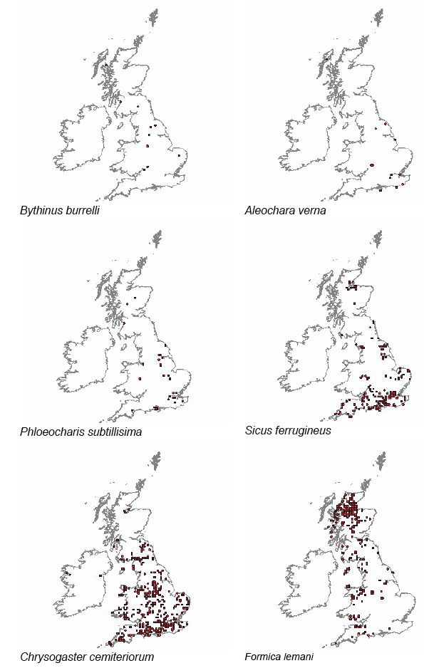 Distribution maps for local and rare species – taken from the NBN Gateway