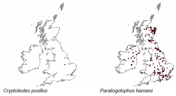 Distribution maps for local and rare species – taken from the NBN Gateway