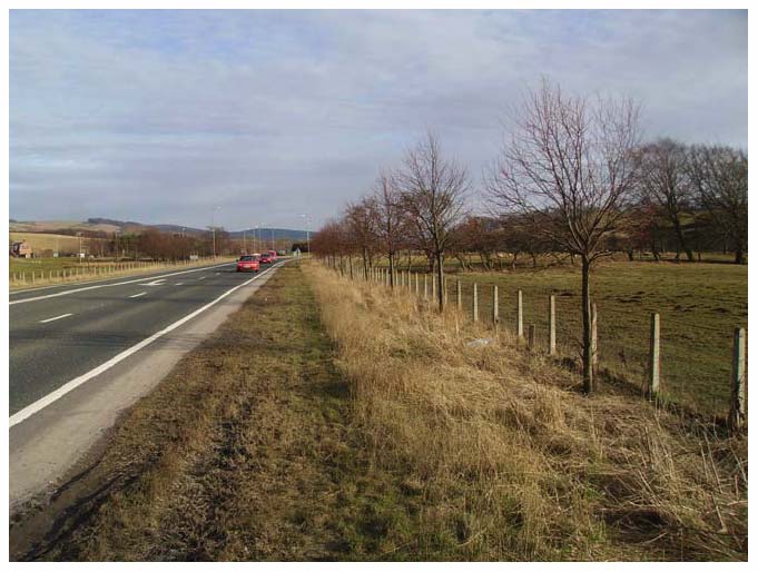 Photograph 4: Looking towards Carfraemill roundabout.