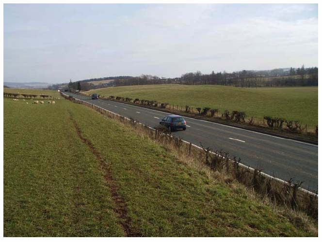 Photograph 5: Typical example of the hawthorn hedge bordering the A68.