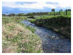 Headshaw Burn