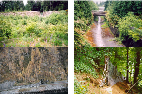 Examples of debris flow hazard reduction techniques