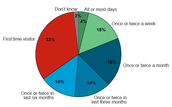 Figure 3.3: Frequency of use of the website among respondents to the online survey