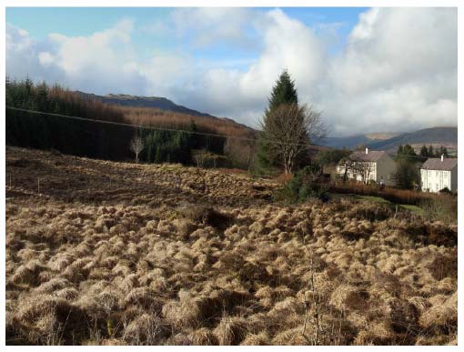 Figure 10.14 View of the rear of Tyndrum Terrace, looking north west.