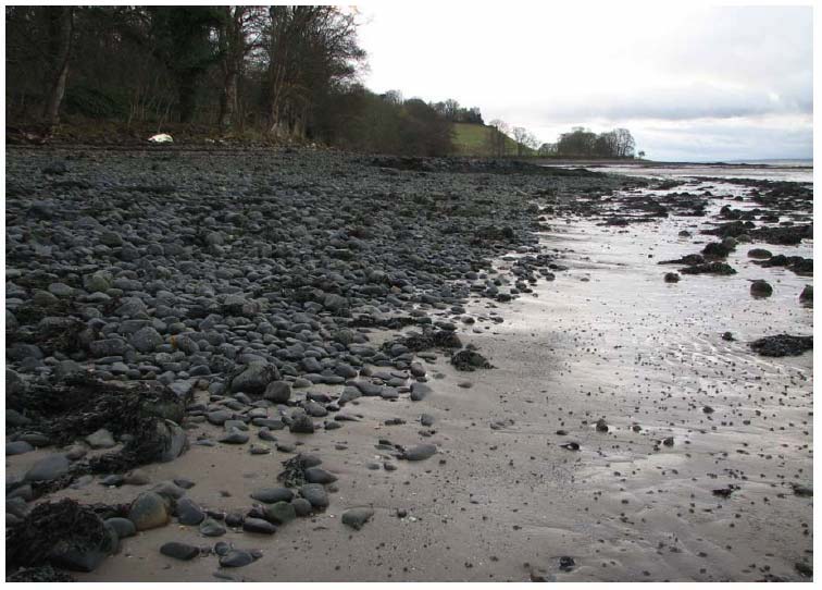 Diagram 60: Bed Materials on the South Shore of the Firth of Forth between Abercorn Point and Society Point