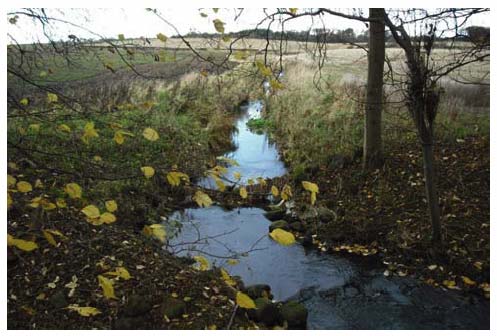 Photograph 3.1: Swine Burn flowing through agricultural land