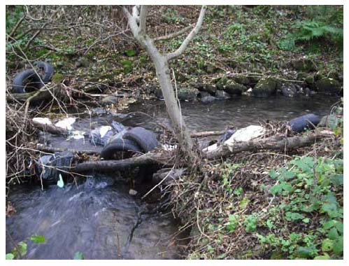 Photograph 3.2: Large woody debris snagging tipped waste forming a debris jam in Swine Burn