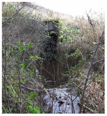 Photograph 3.4: Upstream view of the tributary of Swine Burn culvert under M9