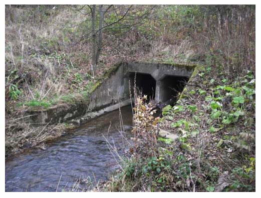 Photograph 3.5: Existing culvert on Niddry Burn