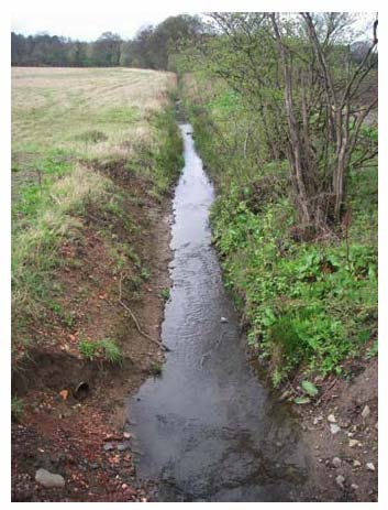 Photograph 3.8: The straight channel of the Dolphington Burn