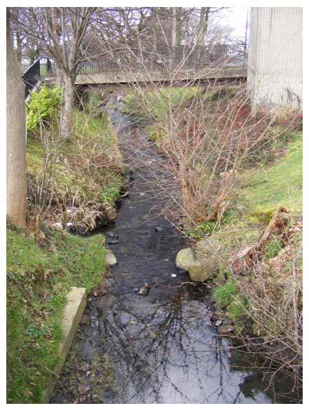 Photograph 3.10: An open channel section of Ferry Burn