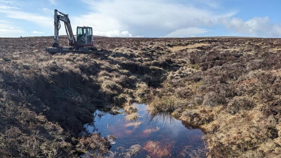 Photograph showing an excavator working across open moorland as part of peatland restoration project. Heather and tussock vegetation surround a shallow reflective pool beneath a partly cloudy sky, highlighting waterlogged terrain and ongoing land management.