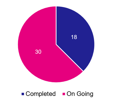 Pie chart split to show 18 issues are complete and 30 issues are on-going.