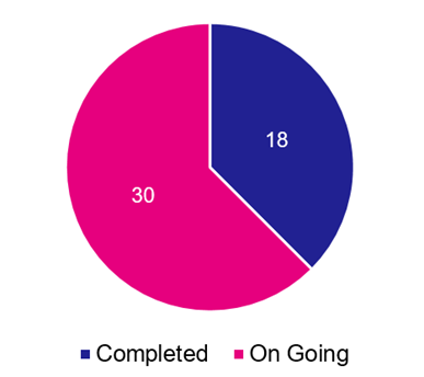 Pie chart split to show 18 issues are complete and 30 issues are on-going.
