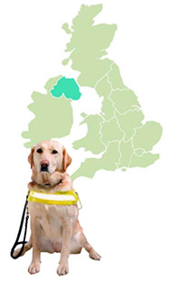 A map of the UK with Northern Ireland highlighted in green. Below is an assistance dog.