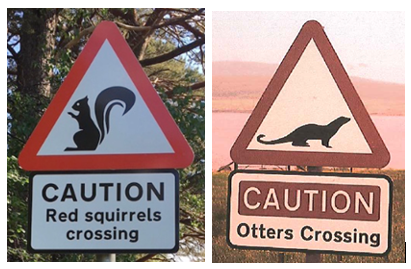 Red triangle warning signs with silhouettes of squirrel and otter