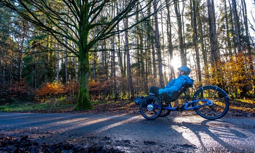 A disabled person riding an adapted bike on a woodland path in Autumn.