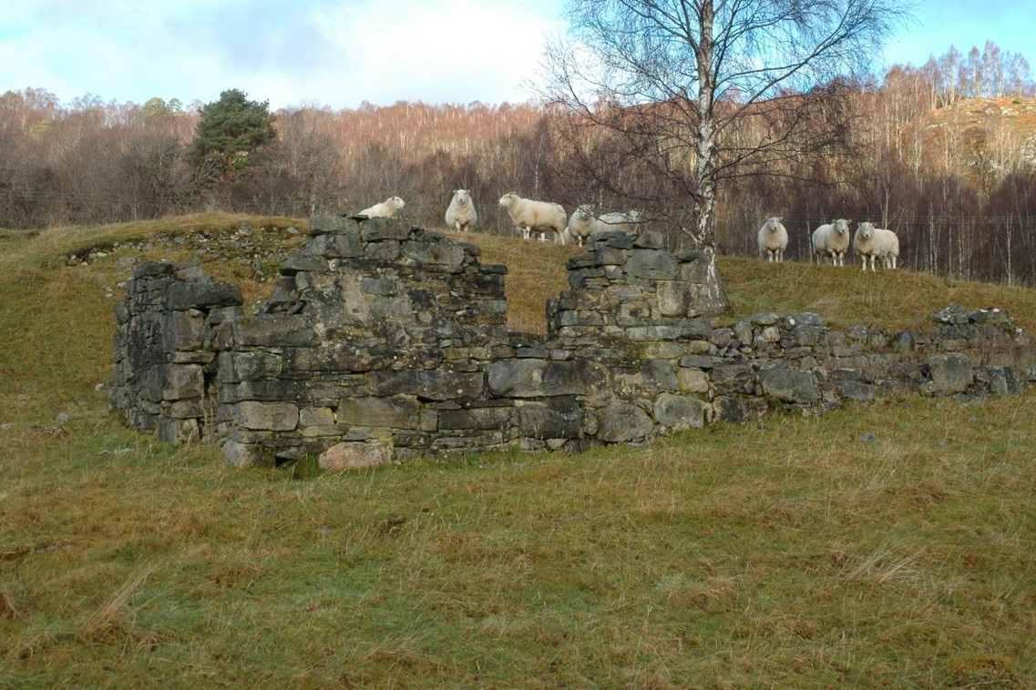Remains of old buildings covered in grass