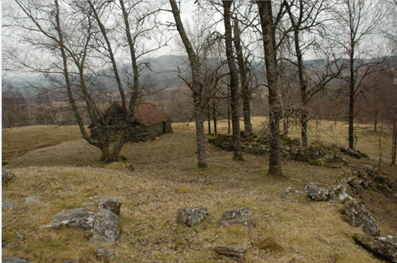 Remains of old buildings covered in grass with trees