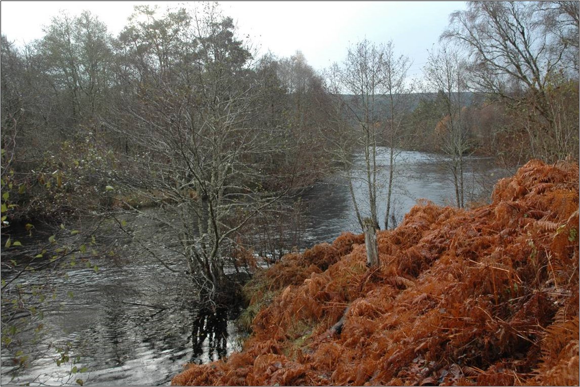 River Moriston passing through woodland countryside