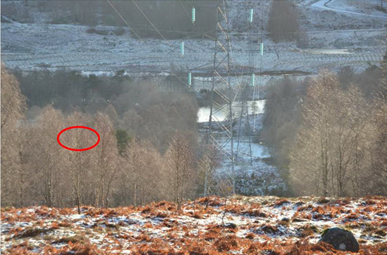 Countryside scene in winter with pylon showing