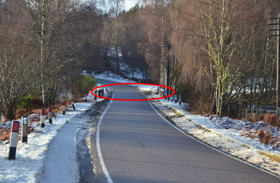 Single track road passing through woodland in winter