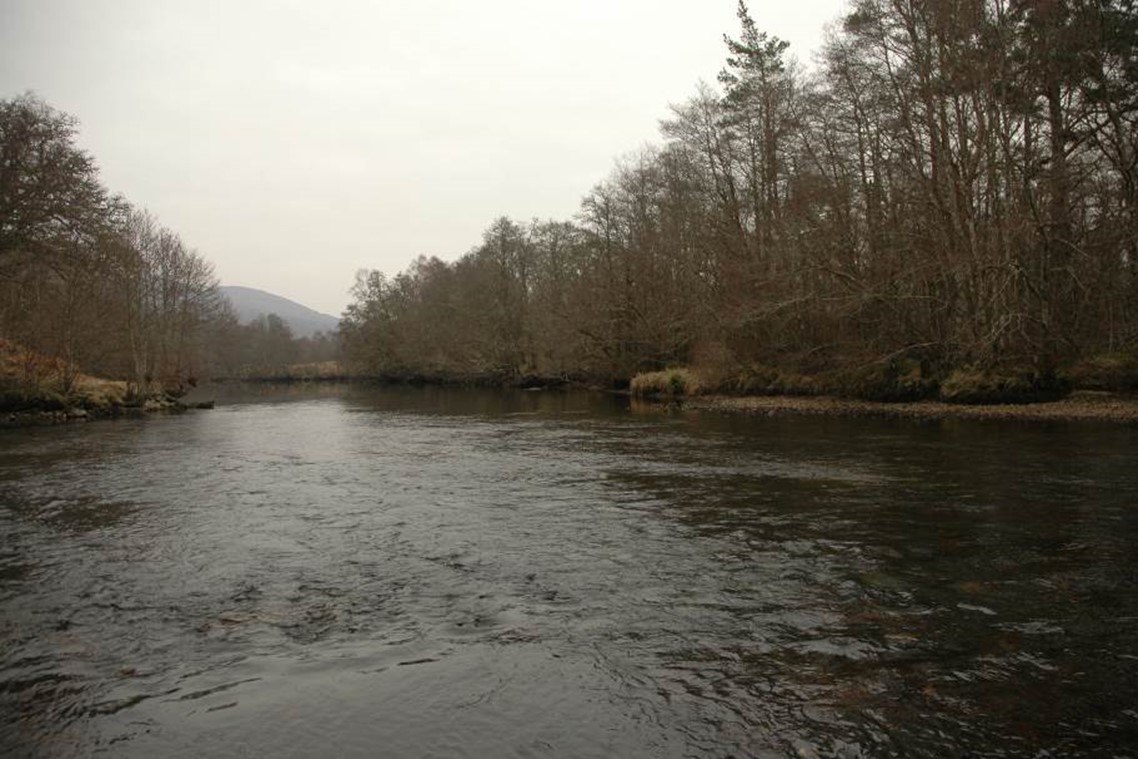 River Moriston passing through woodland