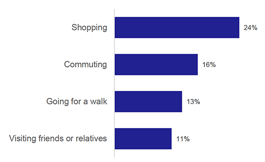 Chart showing most frequent purposes for travel.