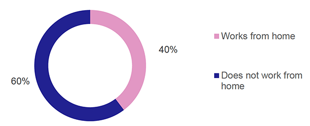 Chart showing 40% work from home.