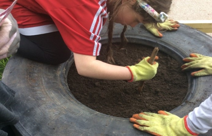 Photograph of a child with gardening gloves planting in the soil