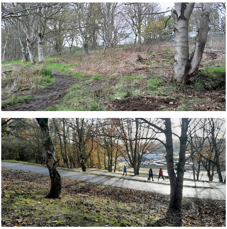 Caroline Wells Woods before and after the improvements