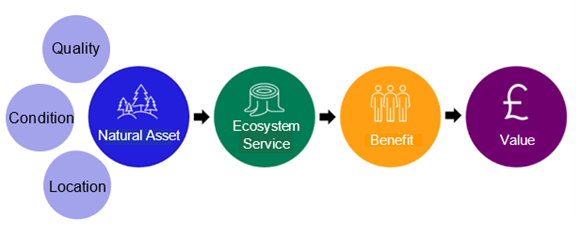 Mainstreaming and Governance | Transport Scotland
