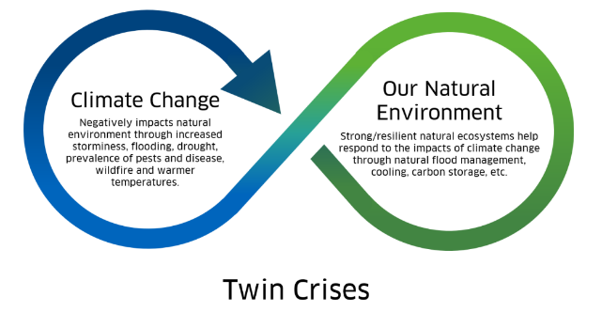 Infographic titled “Twin Crises” uses interlocking blue and green arrows to connect “Climate Change” with “Our Natural Environment.” Climate change impacts include storms, flooding, drought, pests, disease, wildfires, and rising temperatures, while resilient ecosystems provide flood management, cooling, and carbon storage.