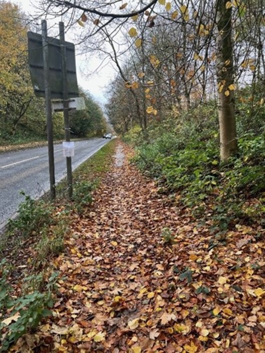 A before image showing a road with a desire line path for pedestrians running alongside the road.