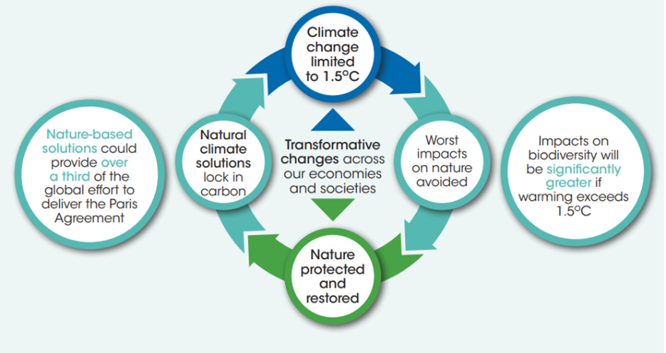 The intrinsically linked climate and natural crises, as described in text above.