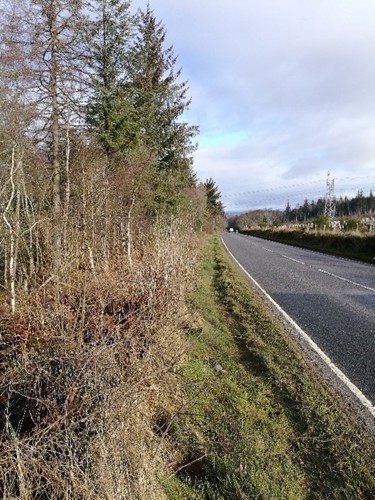 Carriageway prior to construction.